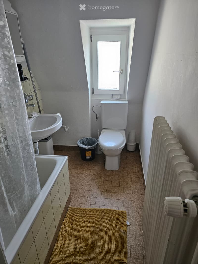 2-Room Apartment in Altstetten (5)