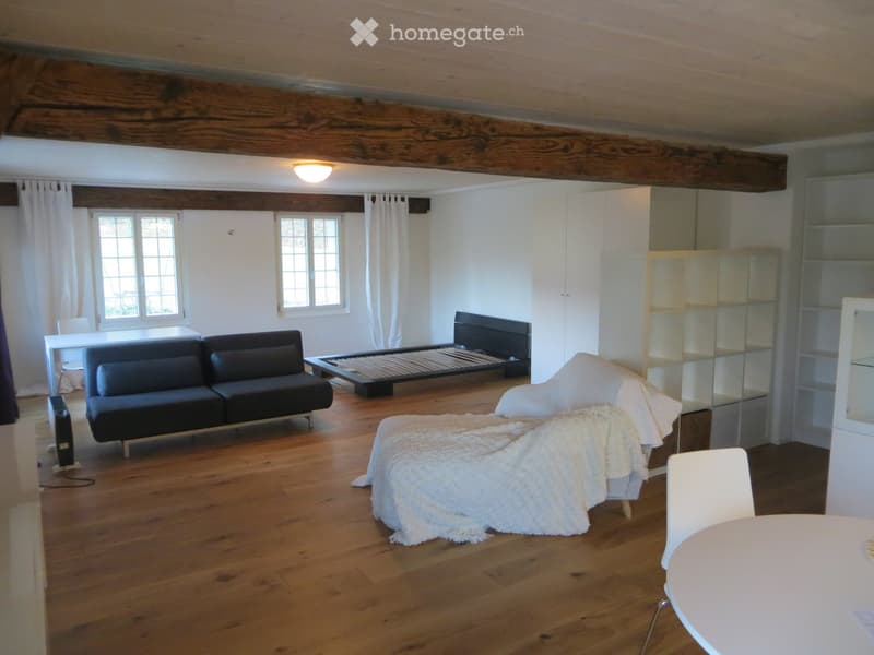 ruhiges 1.5 Zimmer Studio (2)