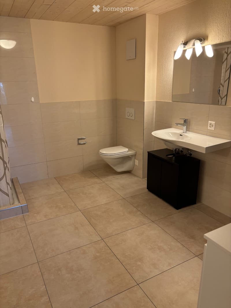 ruhiges 1.5 Zimmer Studio (4)