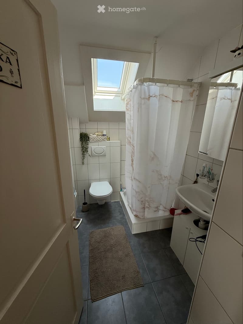 Helle 3 Zimmer Dachwohnung mit schöner Aussicht (5)