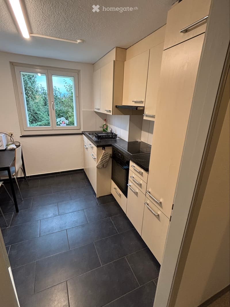 3,5/ Zimmer-Wohnung EG - nachmieter sucht ab 01. Januar (3)