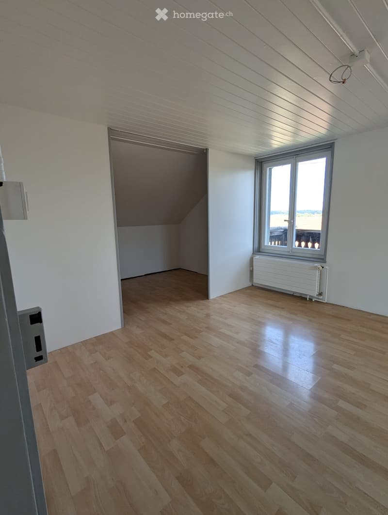 2,5-Zimmer Wohnung (3)