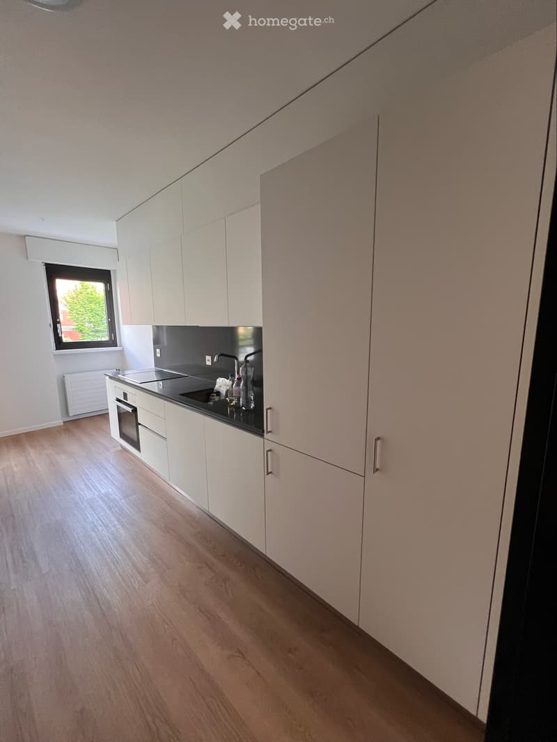 2 MESI GRATIS Appartamento 3,5 locali Ponte Capriasca (2)