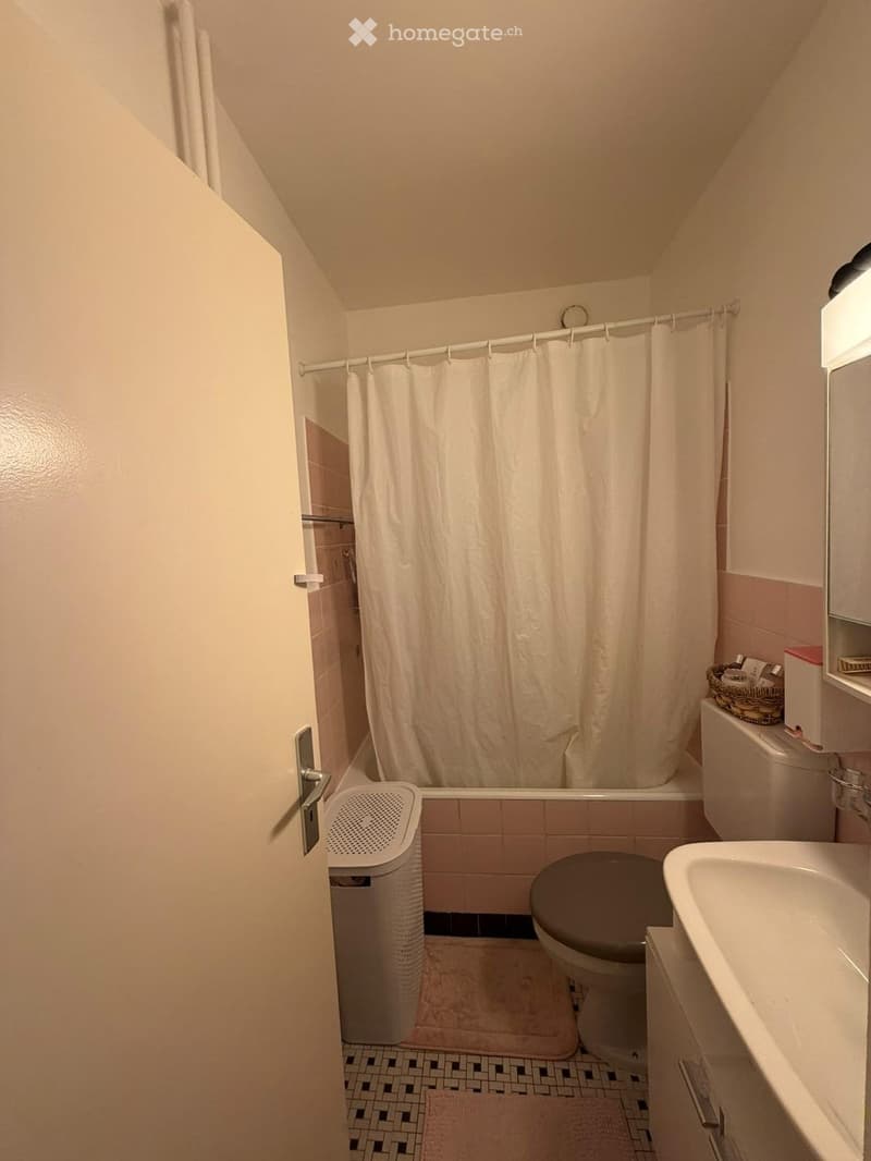 Appartement lumineux de 2,5 pièces à loue (4)