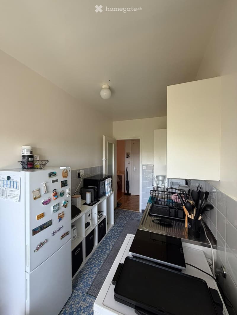 Appartement lumineux de 2,5 pièces à loue (5)