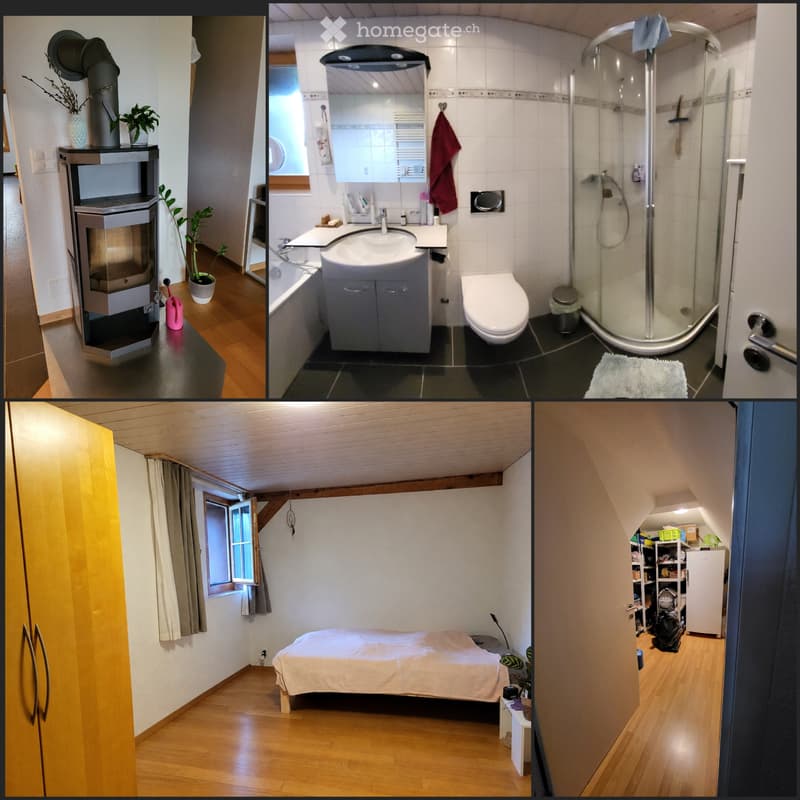 3 Zimmer Dachwohnung (2)