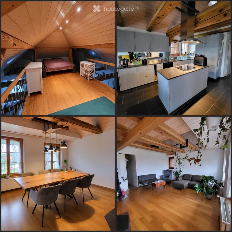 3 Zimmer Dachwohnung (1)