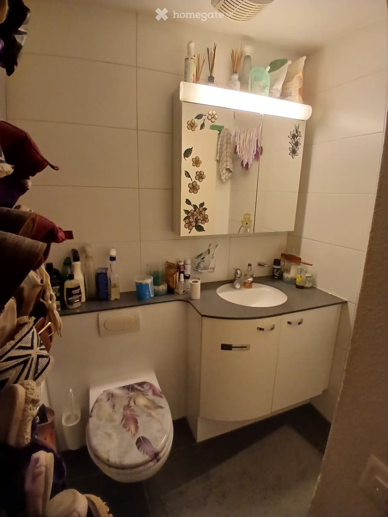 1.5-Zimmer-Wohnung mit Terrasse in Kriens zur Nachmiete (4)