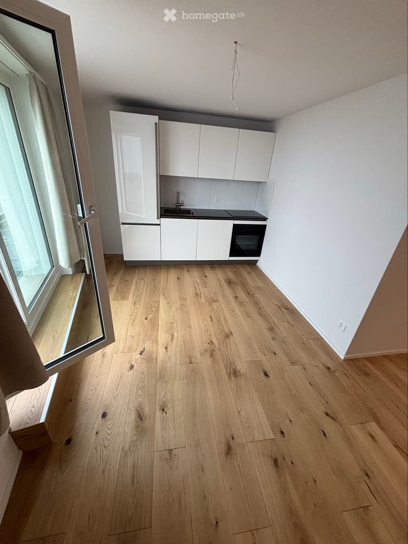 Moderne 1-Zimmer Wohnung mit riesiger Dachterrasse (1)