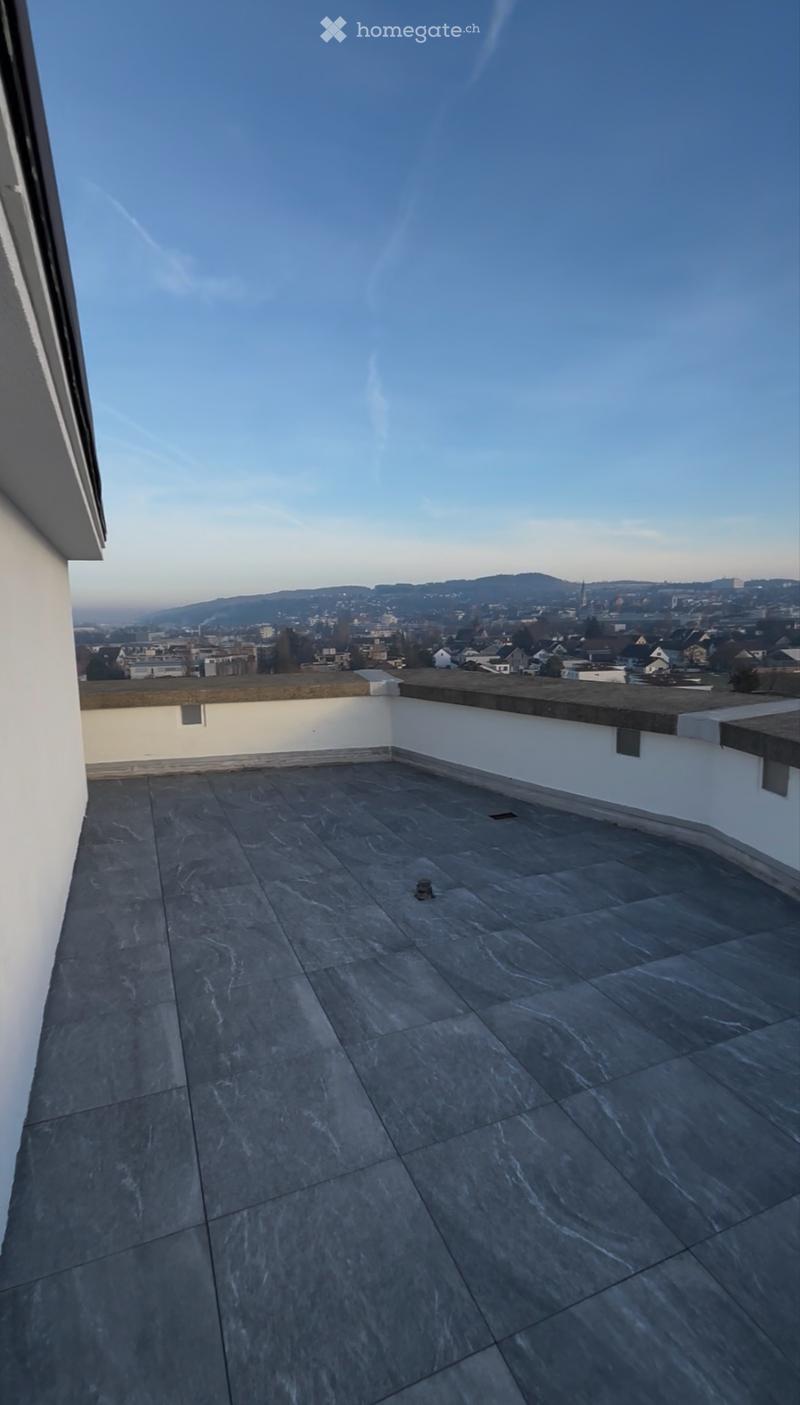 Moderne 1-Zimmer Wohnung mit riesiger Dachterrasse (2)