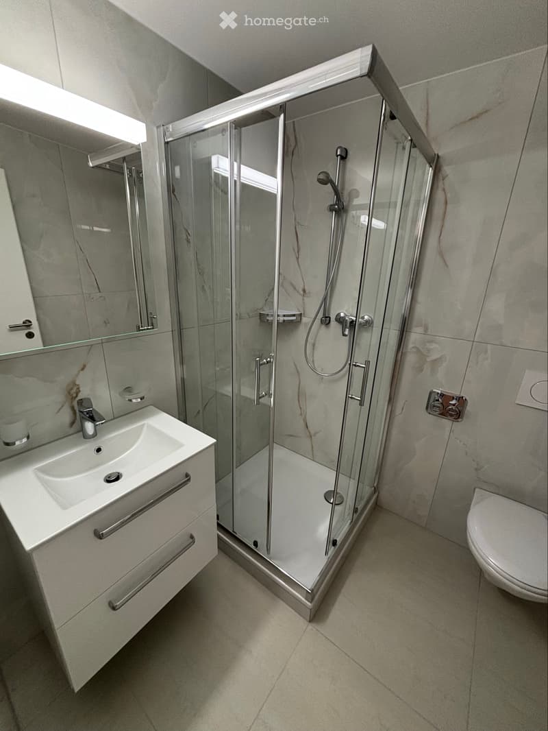 Moderne 1-Zimmer Wohnung mit riesiger Dachterrasse (3)