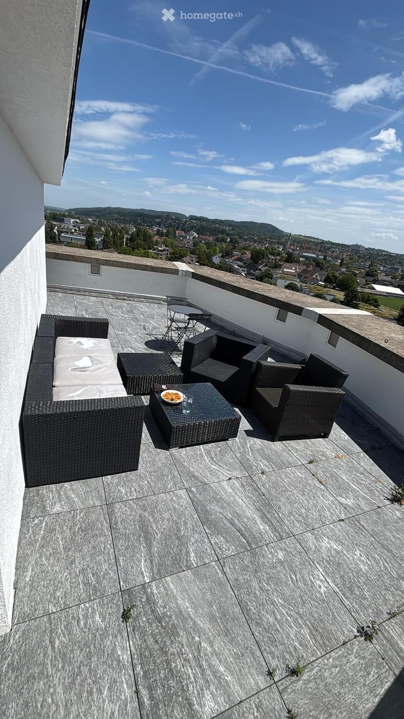 Moderne 1-Zimmer Wohnung mit riesiger Dachterrasse (5)