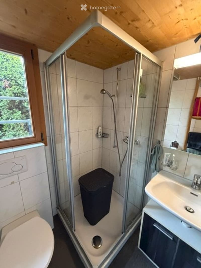 Einmaliges 1.5-Zimmerhaus im Grünen (5)