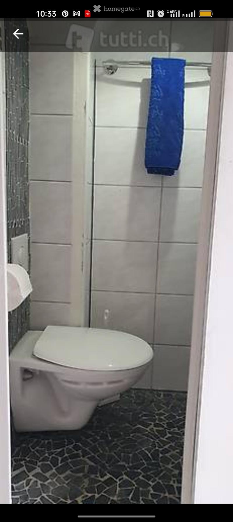 Möbliertes Zimmer (5)