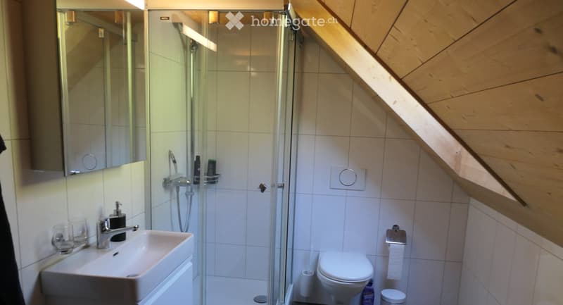 Ferien Wohnung (4)