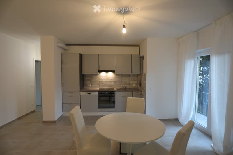 Vacallo - Ampio 3,5 locali con terrazza (1)