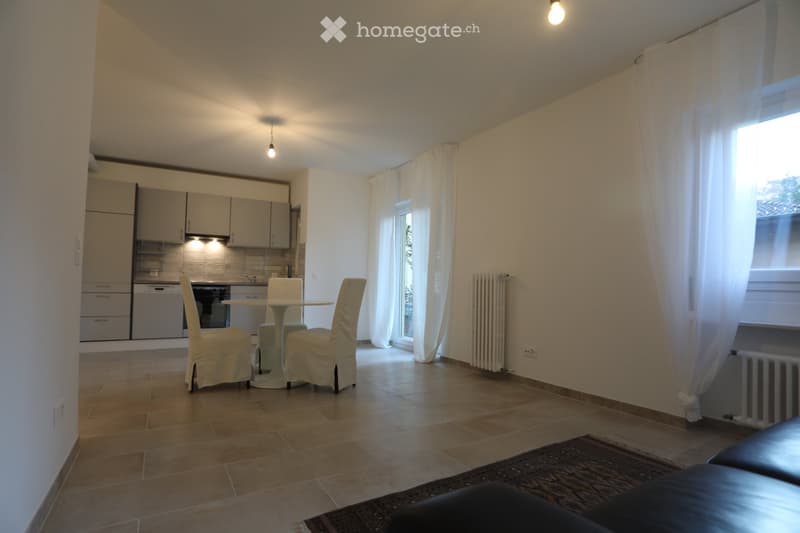 Vacallo - Ampio 3,5 locali con terrazza (3)