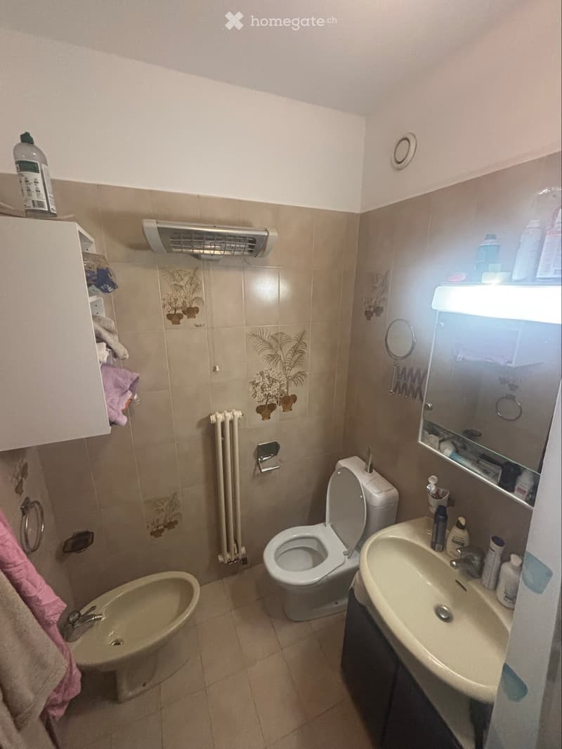 Appartamento arredato di 2,5 locali con vista sul Lago (3)