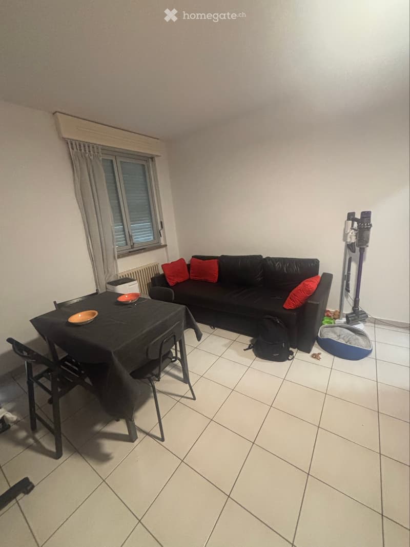 Appartamento arredato di 2,5 locali con vista sul Lago (2)