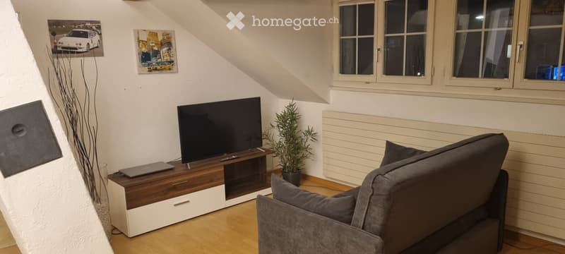 Möblierte 2.5 Zimmer Wohnung (2)