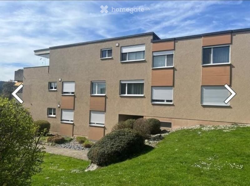 3.5 Wohnung in Schwerzenbach, suche Nachmieter (1)