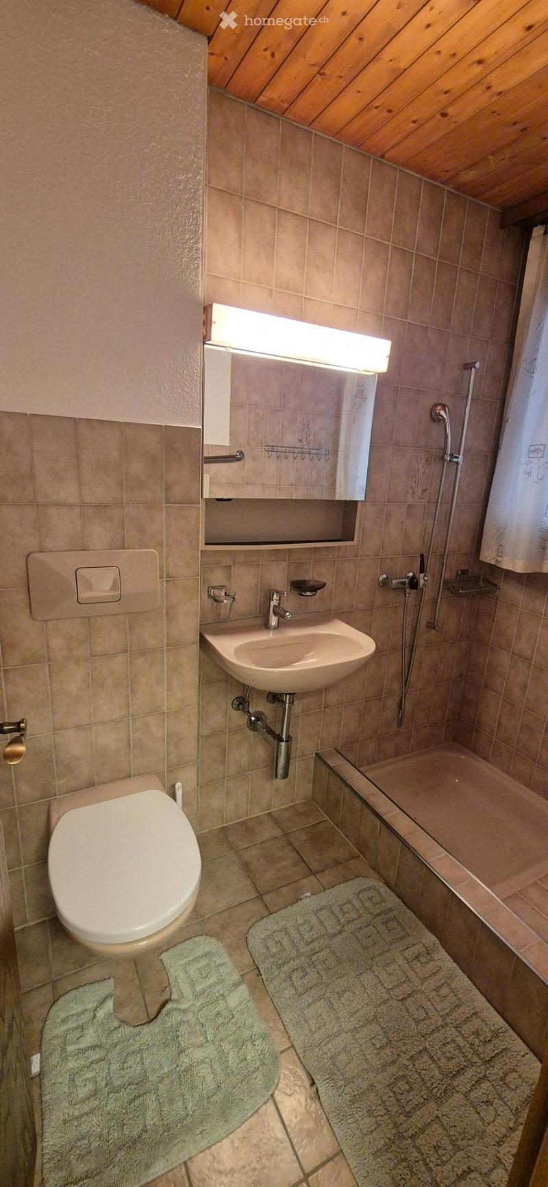 Möbliertes 1-Zimmer Studio ab sofort zu vermieten (5)