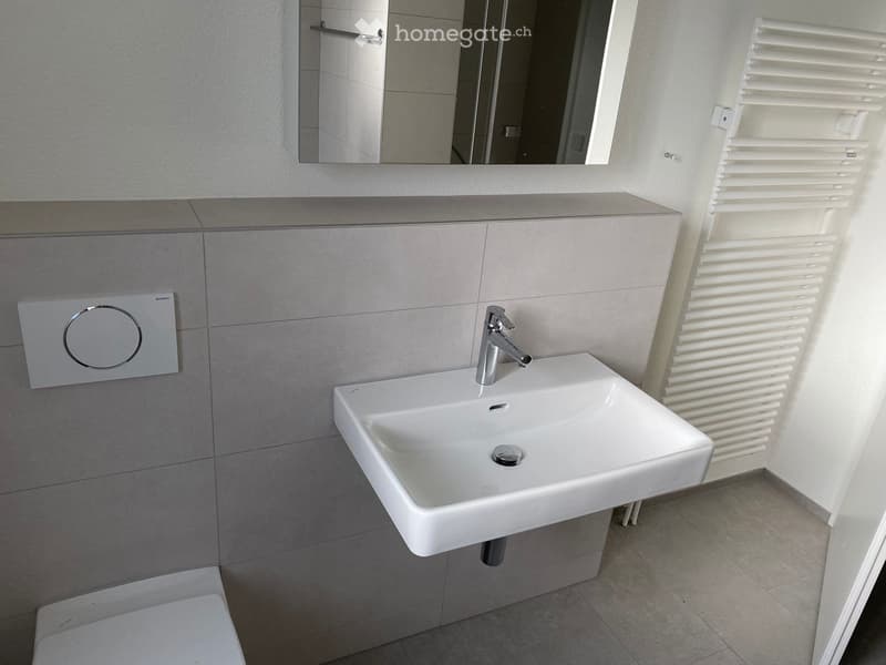 Nachmieter gesucht  renovierte 3½-Zimmerwohnung (3)
