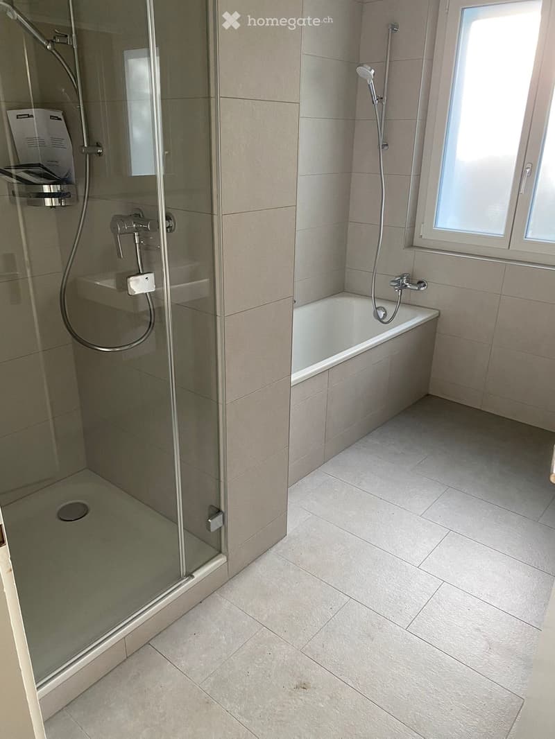 Nachmieter gesucht  renovierte 3½-Zimmerwohnung (2)