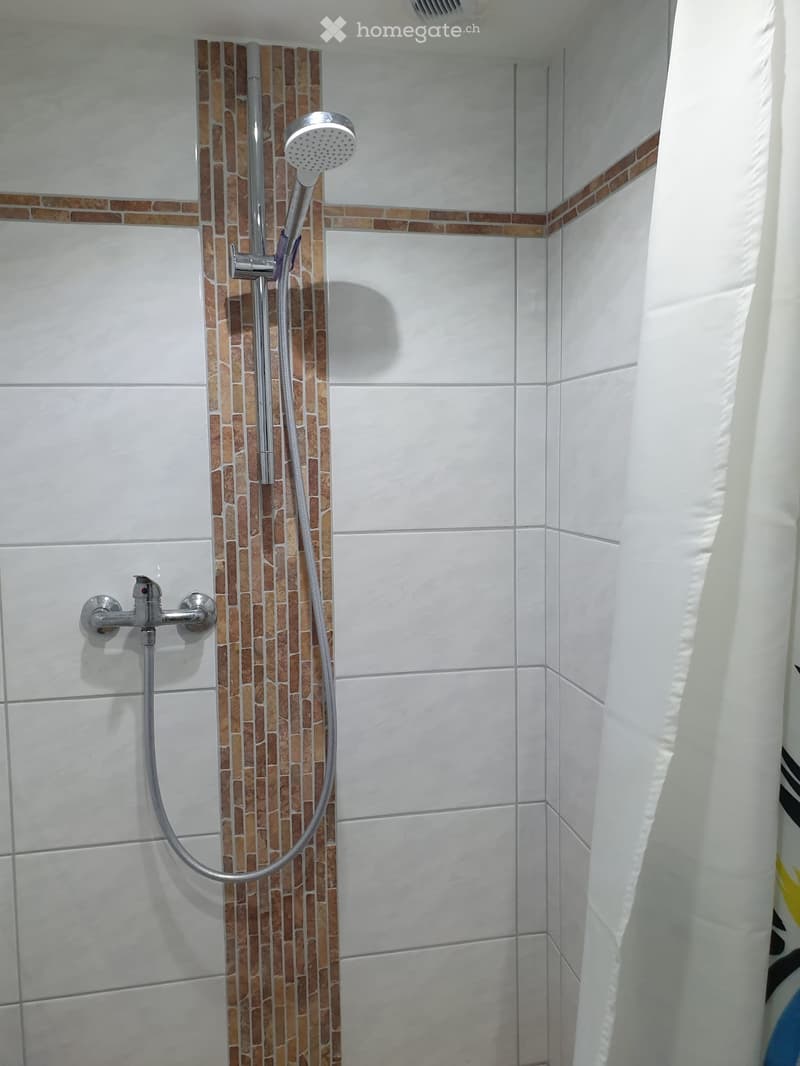 1,5 Zimmer Wohnung (3)