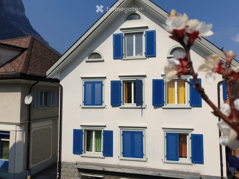 1,5 Zimmer Wohnung (2)