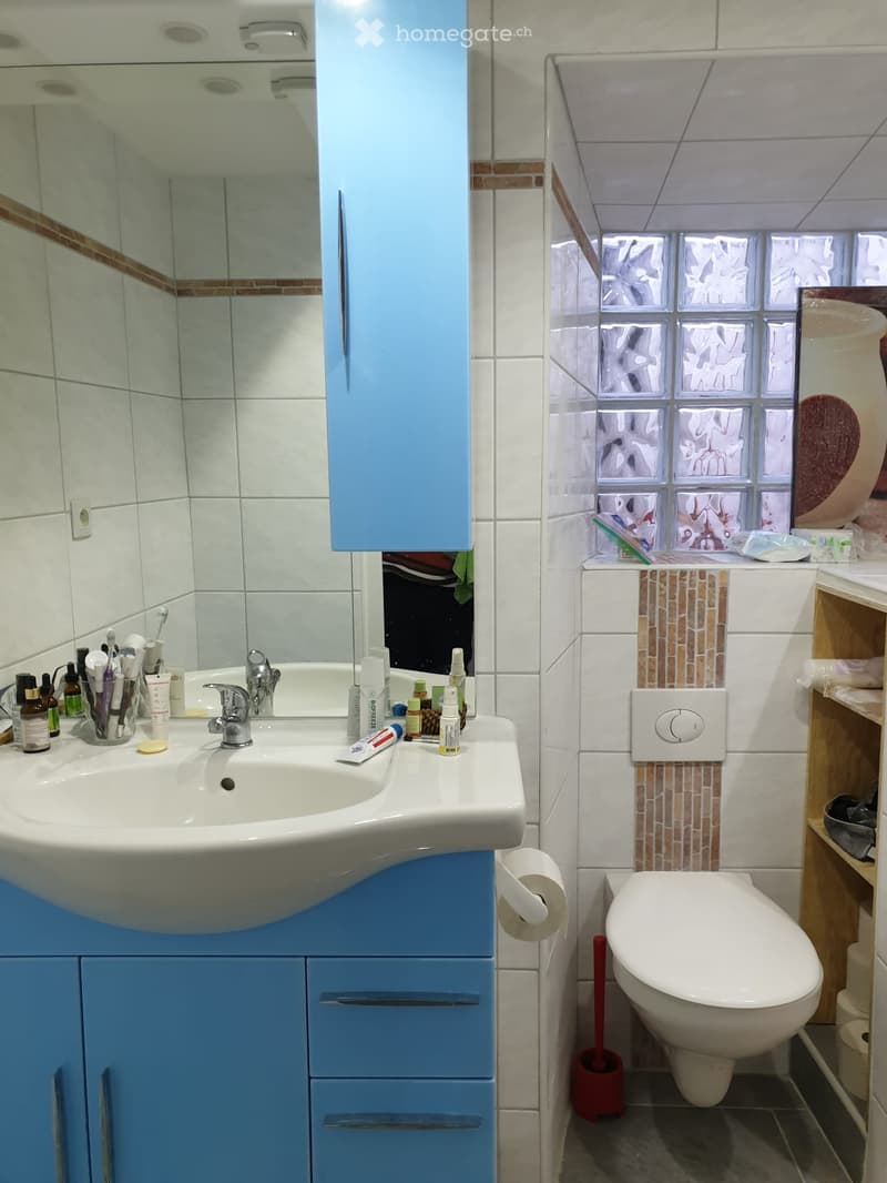 1,5 Zimmer Wohnung (4)