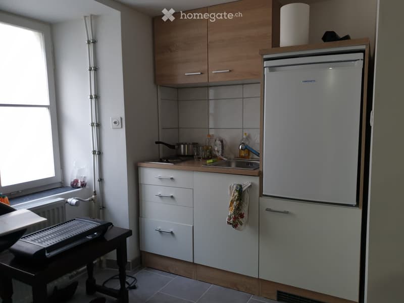 1,5 Zimmer Wohnung (5)