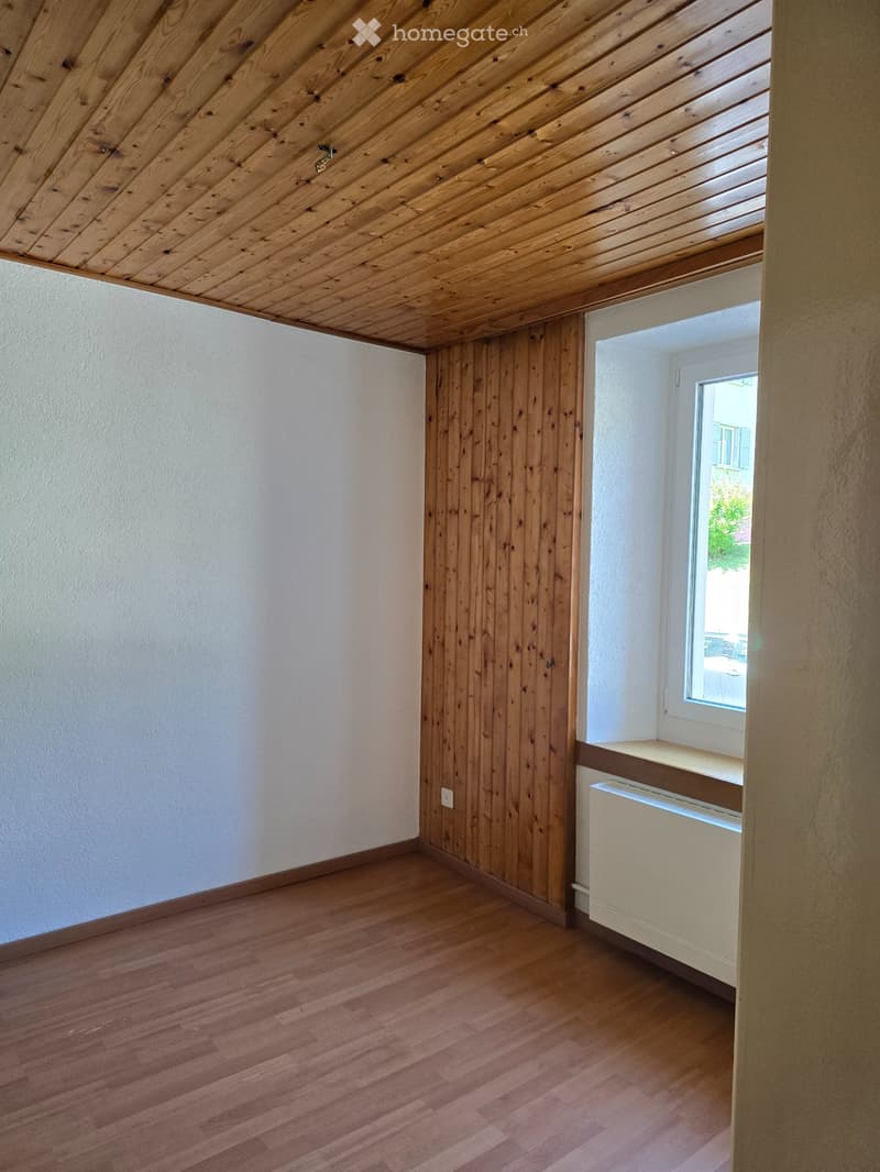 Bel appartement lumineux et chaleureux de 3 pièces (5)