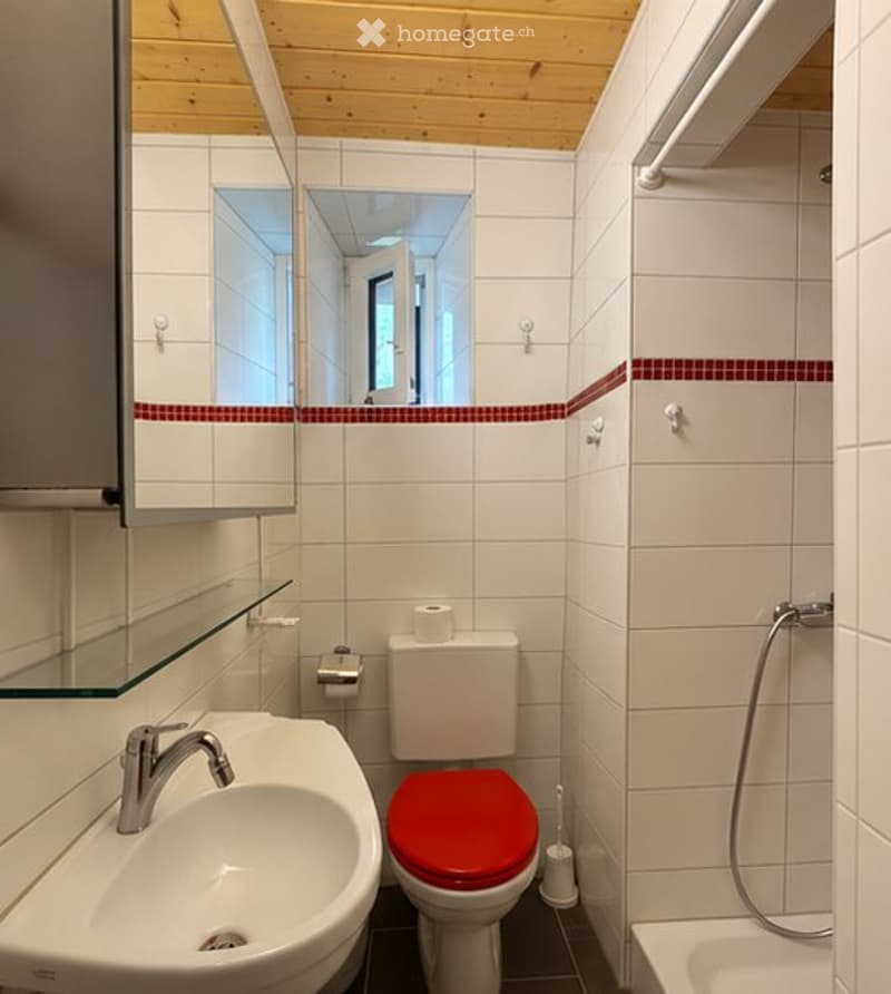 Bel appartement lumineux et chaleureux de 3 pièces (4)