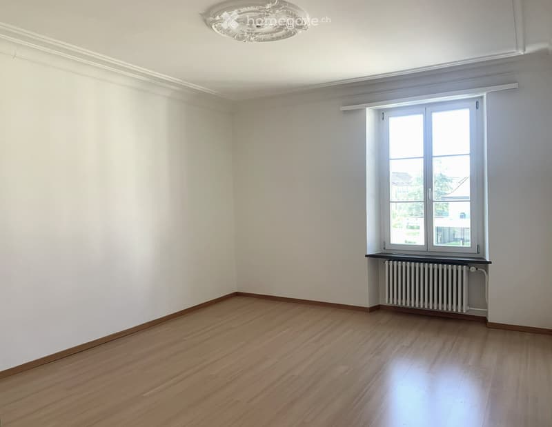 Grosszügige 4.5 Zimmer-Wohnung mit sonniger Terrasse (8)