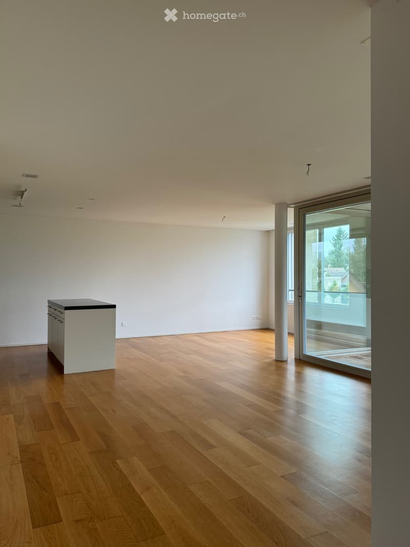 3.5 Zimmer-Wohnung in Windisch AG per sofort (4)