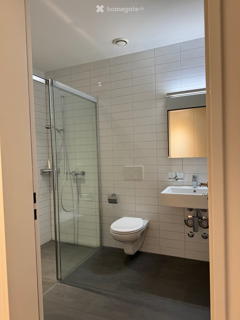 3.5 Zimmer-Wohnung in Windisch AG per sofort (3)
