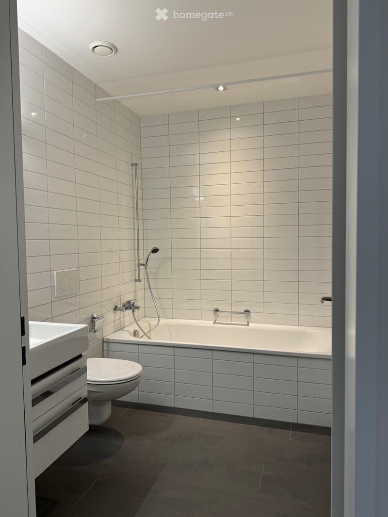 3.5 Zimmer-Wohnung in Windisch AG per sofort (2)