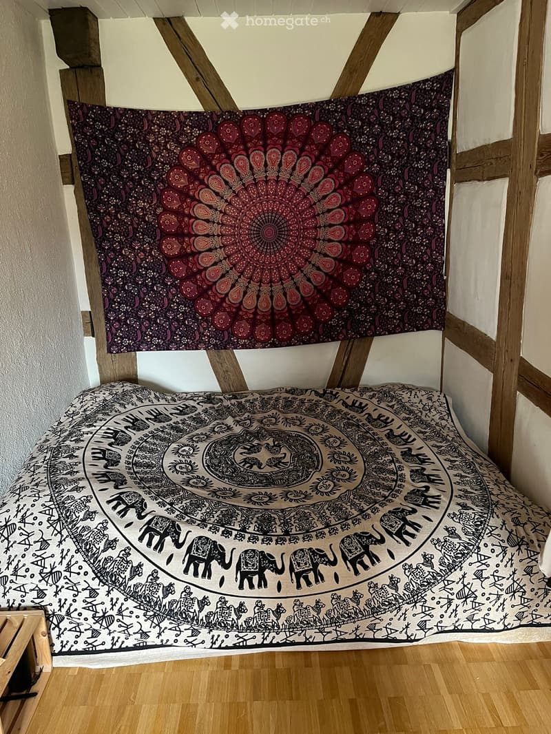 Schöne 2.5-Zimmer-Wohnung (71 m2) (4)