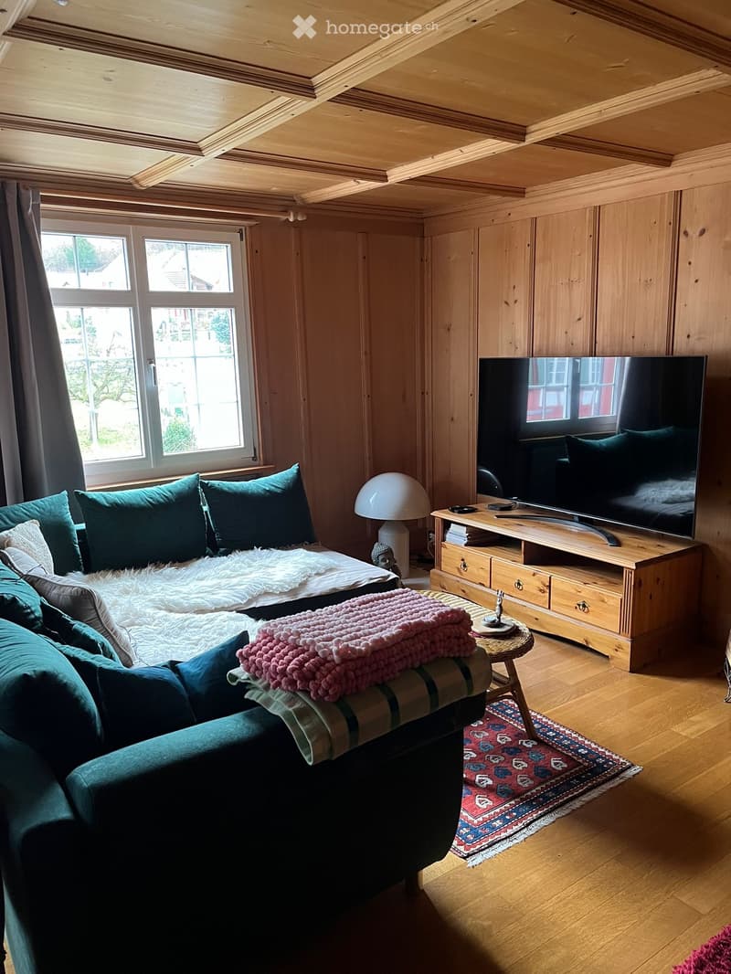 Schöne 2.5-Zimmer-Wohnung (71 m2) (3)