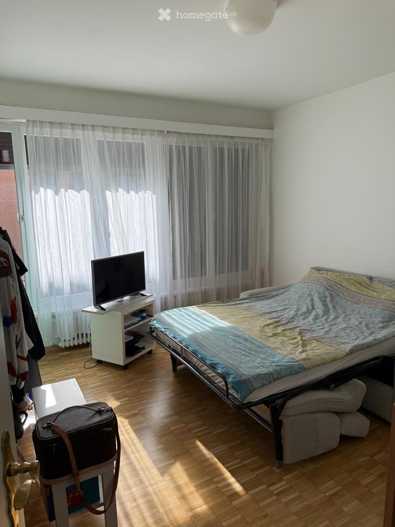 Appartamento comodo ampio e luminoso (4)