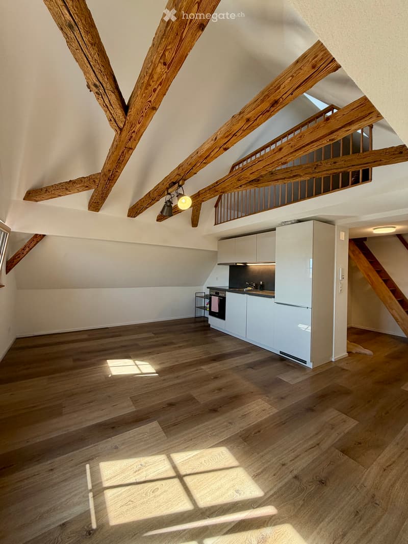 1.5 Zimmer Maisonette - Nachmieter/in gesucht (1)
