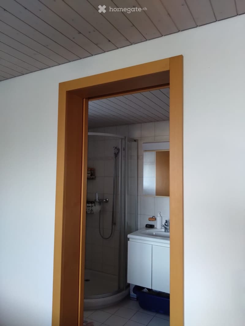 4.5 Zimmer-Wohnung in Zweifamilienhaus (4)