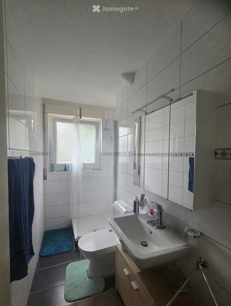 1 ZiWohnung nähe Eigerplatz (3)