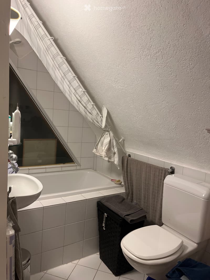 11/2 Zimmer Dachwohnung (4)
