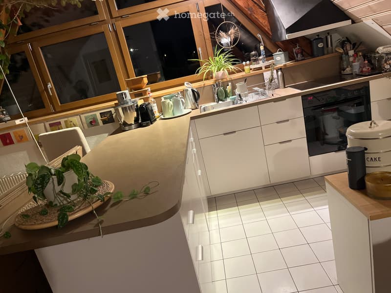 11/2 Zimmer Dachwohnung (3)
