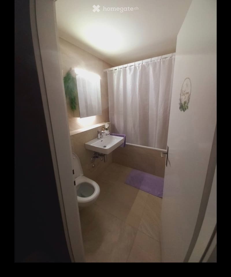 Hochwertige 3.5 Zimmer-Wohnung in 8305 Dietlikon (4)