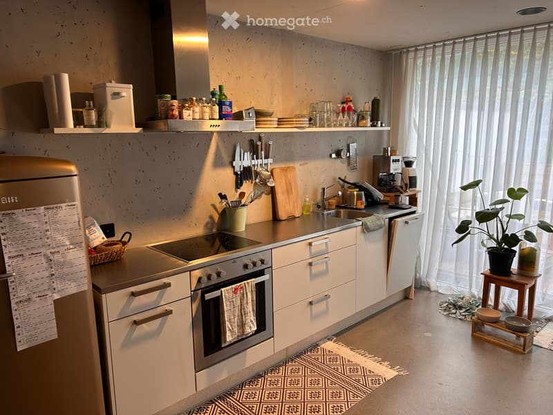 Wohnung im Sursee (3)