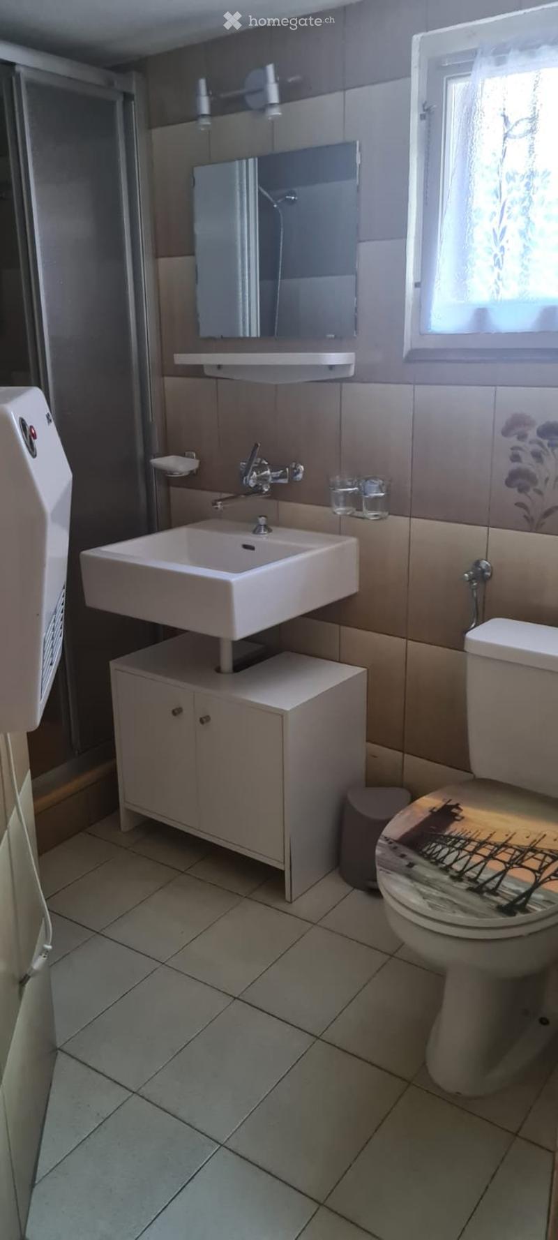 Affittasi appartamento 3.5 locali (4)
