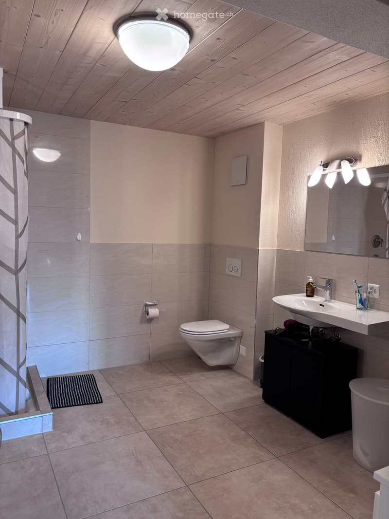 Studio mit viel Charme in Ettiswil ab Mitte Dezember (4)
